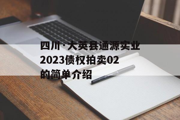 四川·大英县通源实业2023债权拍卖02的简单介绍