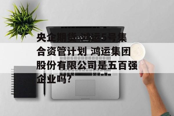 央企期货-鸿运5号集合资管计划 鸿运集团股份有限公司是五百强企业吗?