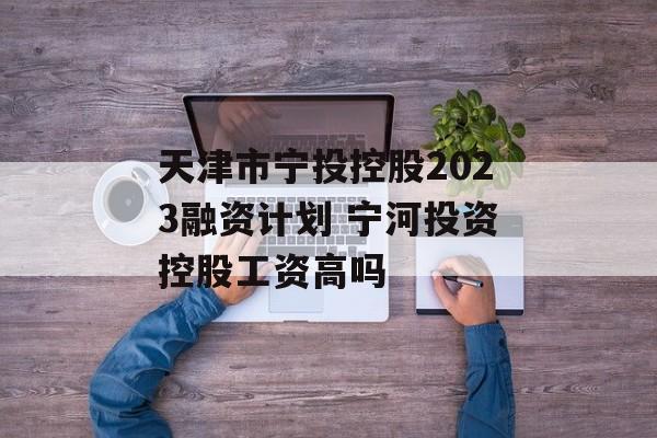 天津市宁投控股2023融资计划 宁河投资控股工资高吗