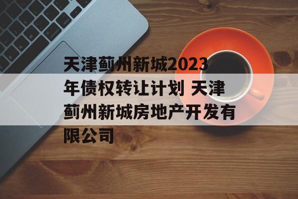 天津蓟州新城2023年债权转让计划 天津蓟州新城房地产开发有限公司