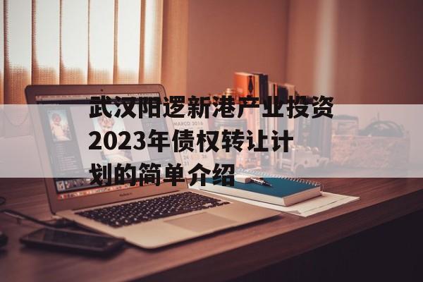 武汉阳逻新港产业投资2023年债权转让计划的简单介绍