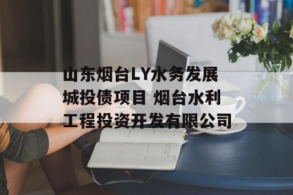 山东烟台LY水务发展城投债项目 烟台水利工程投资开发有限公司